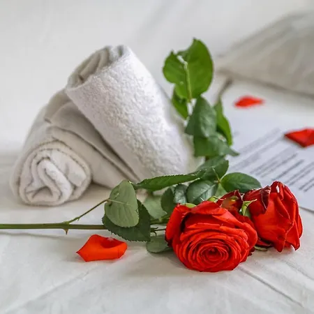 Le Leo Apartamento